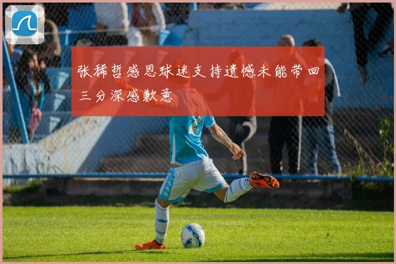 张稀哲感恩球迷支持遗憾未能带回三分深感歉意